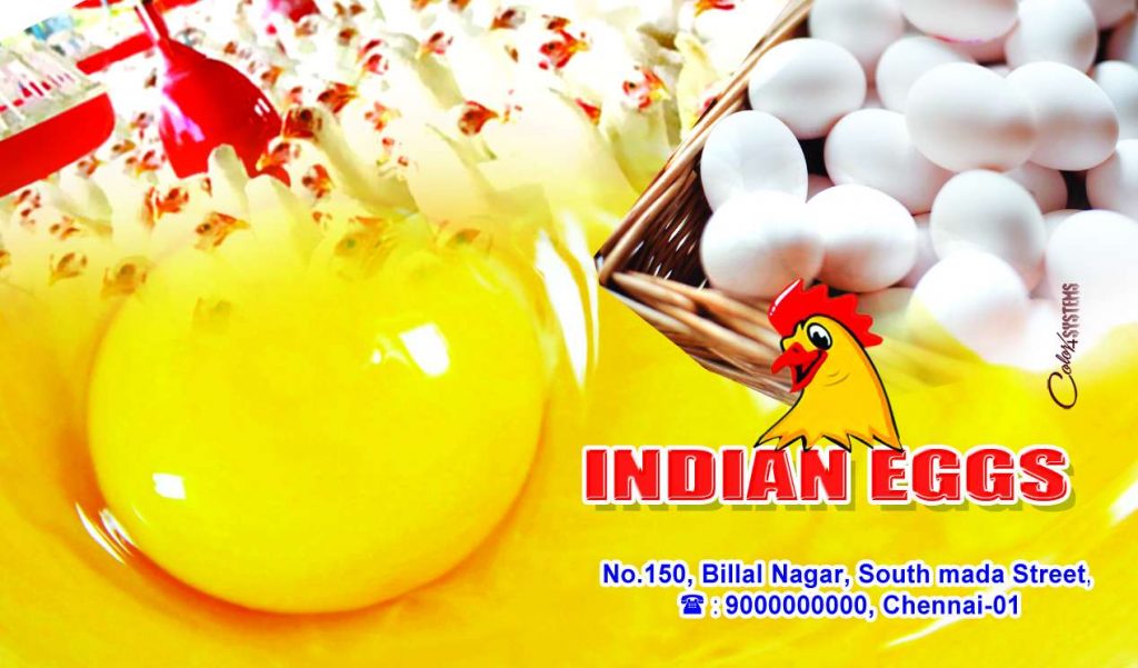 EggStors design Shop Flex PSD Free Download Karkitechs.com