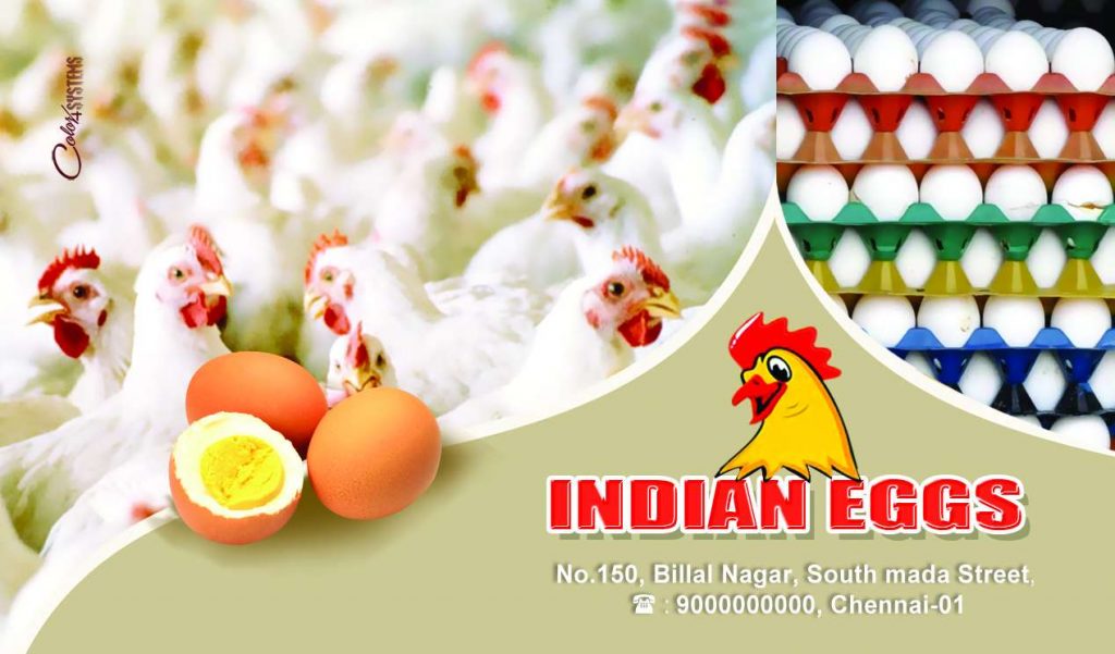 EggStors design Shop Flex PSD Free Download Karkitechs.com