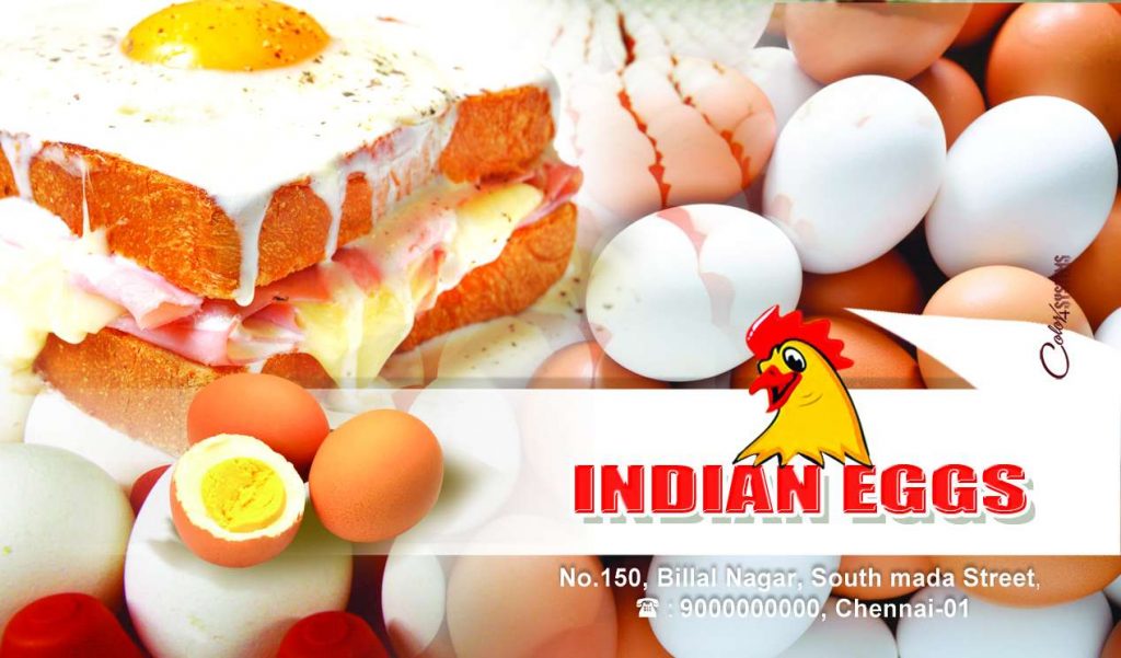 EggStors design Shop Flex PSD Free Download Karkitechs.com
