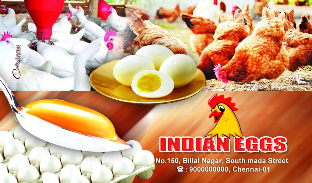 EggStors design Shop Flex PSD Free Download Karkitechs.com