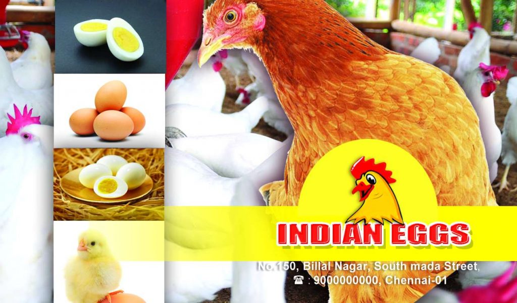 EggStors design Shop Flex PSD Free Download Karkitechs.com