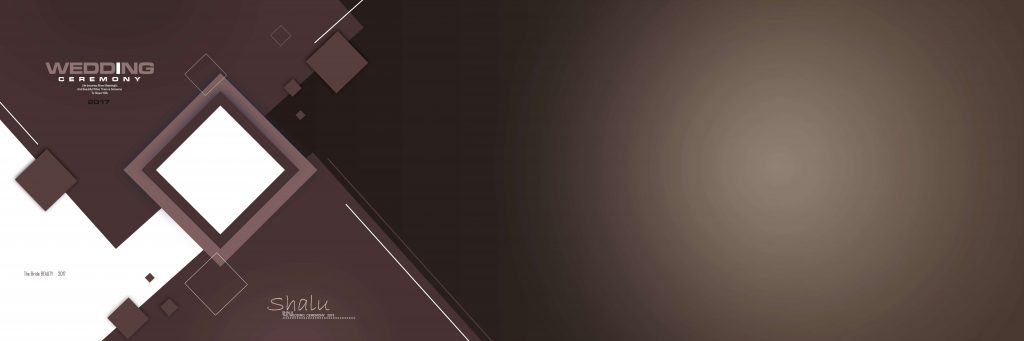 Dmax Vol-02&ndash;INDIAN WEDDING ALBUM PSD TEMPLATE