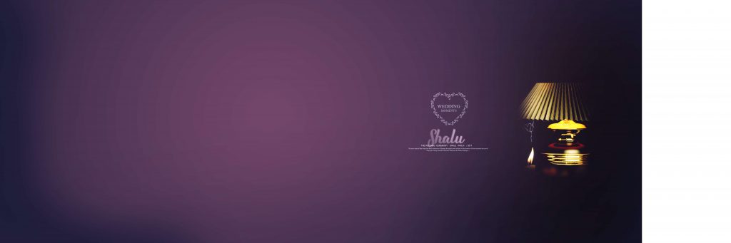 Dmax Vol-02&ndash;INDIAN WEDDING ALBUM PSD TEMPLATE