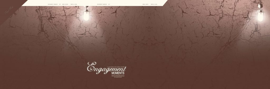 Dmax Vol-02&ndash;INDIAN WEDDING ALBUM PSD TEMPLATE