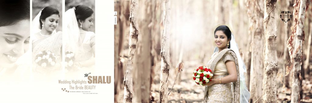 Dmax Vol-02&ndash;INDIAN WEDDING ALBUM PSD TEMPLATE