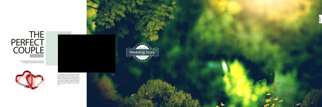 Dmax Vol-06&ndash;INDIAN WEDDING ALBUM PSD TEMPLATE