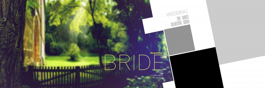 Dmax Vol-06&ndash;INDIAN WEDDING ALBUM PSD TEMPLATE
