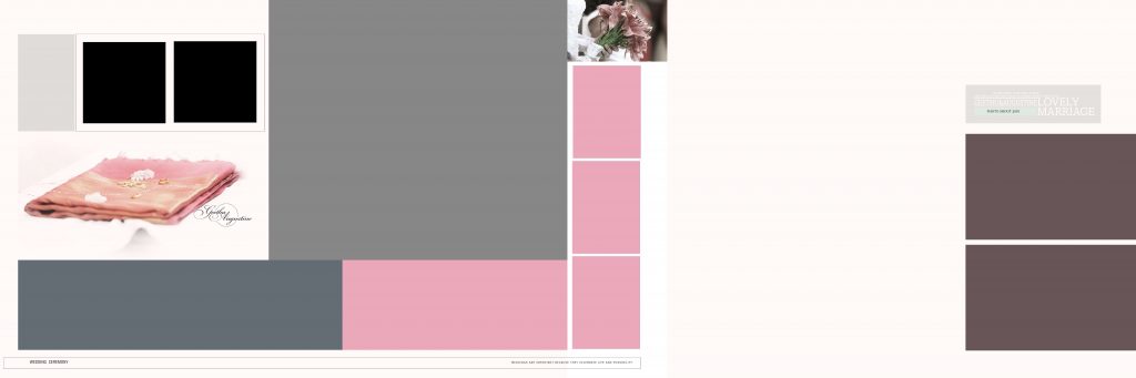 Dmax Vol-04&ndash;INDIAN WEDDING ALBUM PSD TEMPLATE