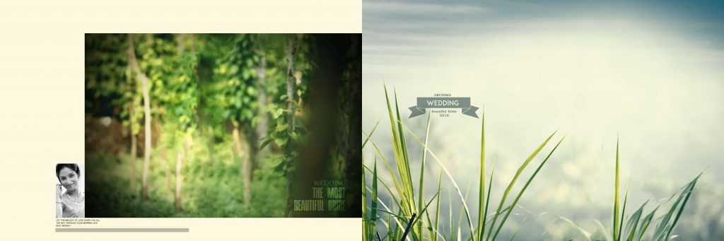 Dmax Vol-05&ndash;INDIAN WEDDING ALBUM PSD TEMPLATE