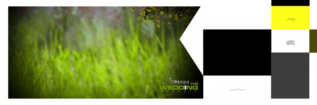 Dmax Vol-05&ndash;INDIAN WEDDING ALBUM PSD TEMPLATE