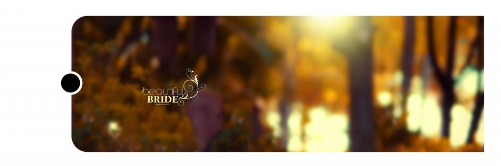 Dmax Vol-05&ndash;INDIAN WEDDING ALBUM PSD TEMPLATE
