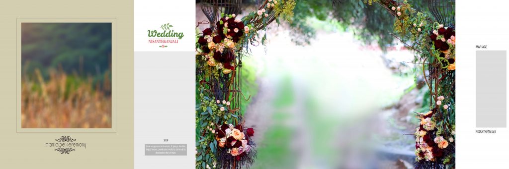 Dmax Vol-07&ndash;INDIAN WEDDING ALBUM PSD TEMPLATE