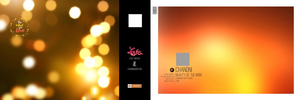 Dmax Vol-11&ndash;INDIAN WEDDING ALBUM PSD TEMPLATE