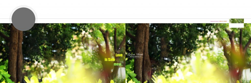 Dmax Vol-11&ndash;INDIAN WEDDING ALBUM PSD TEMPLATE