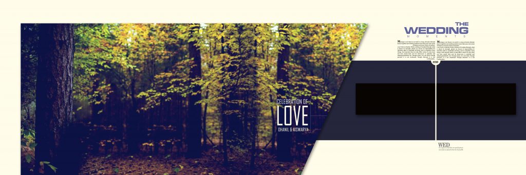 Dmax Vol-11&ndash;INDIAN WEDDING ALBUM PSD TEMPLATE