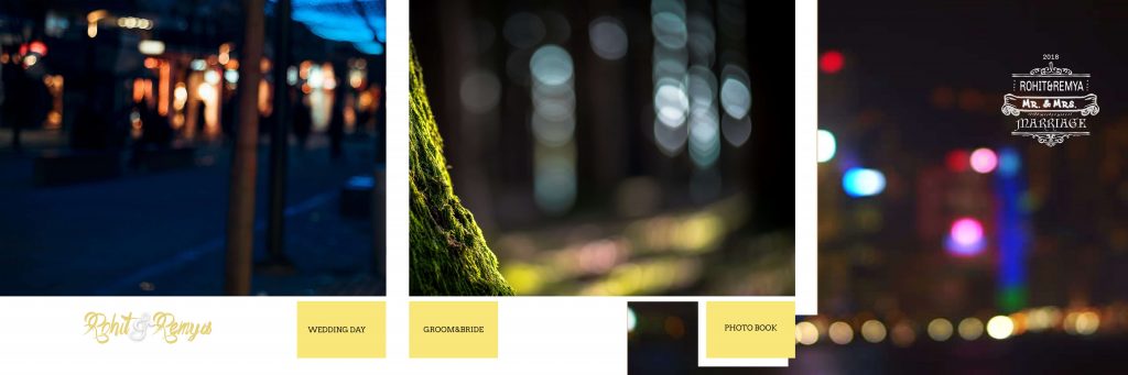Dmax Vol-11&ndash;INDIAN WEDDING ALBUM PSD TEMPLATE
