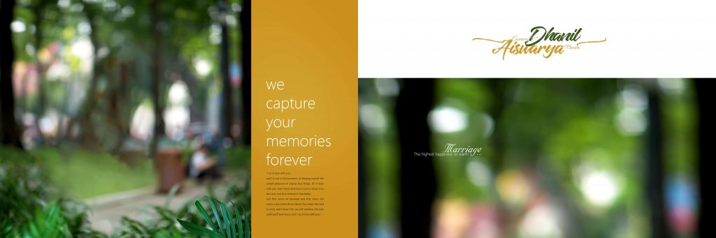 Dmax Vol-11&ndash;INDIAN WEDDING ALBUM PSD TEMPLATE