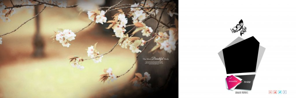 Dmax Vol-13&ndash;INDIAN WEDDING ALBUM PSD TEMPLATE