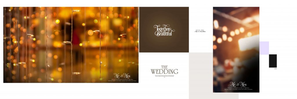 Dmax Vol-13&ndash;INDIAN WEDDING ALBUM PSD TEMPLATE