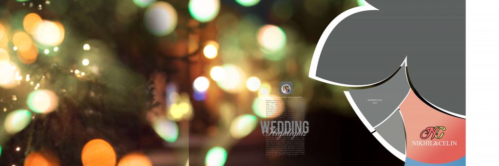 Dmax Vol-13&ndash;INDIAN WEDDING ALBUM PSD TEMPLATE