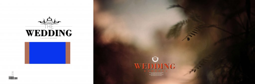 Dmax Vol-13&ndash;INDIAN WEDDING ALBUM PSD TEMPLATE