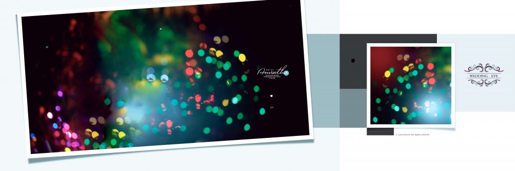 Dmax Vol-13&ndash;INDIAN WEDDING ALBUM PSD TEMPLATE