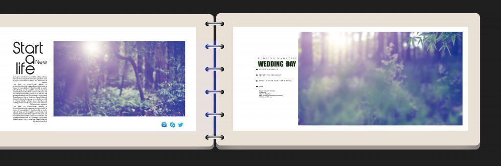 Dmax Vol-13&ndash;INDIAN WEDDING ALBUM PSD TEMPLATE