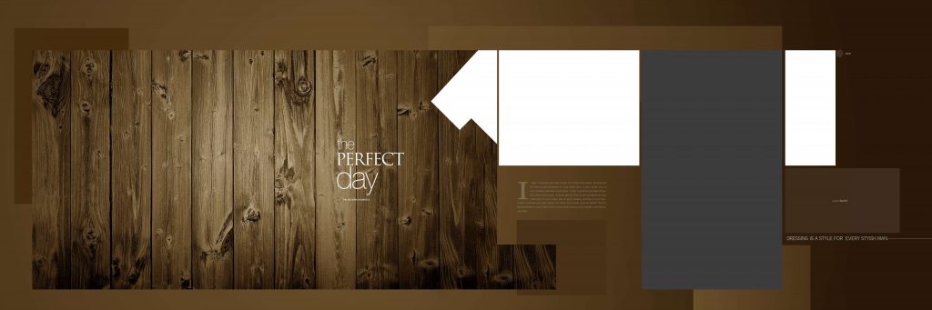 Dmax Vol-14&ndash;INDIAN WEDDING ALBUM PSD TEMPLATE