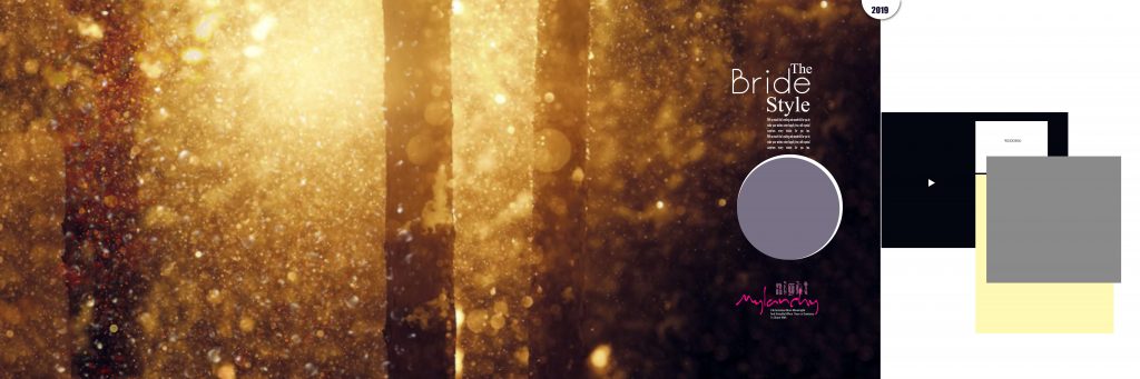 Dmax Vol-14&ndash;INDIAN WEDDING ALBUM PSD TEMPLATE