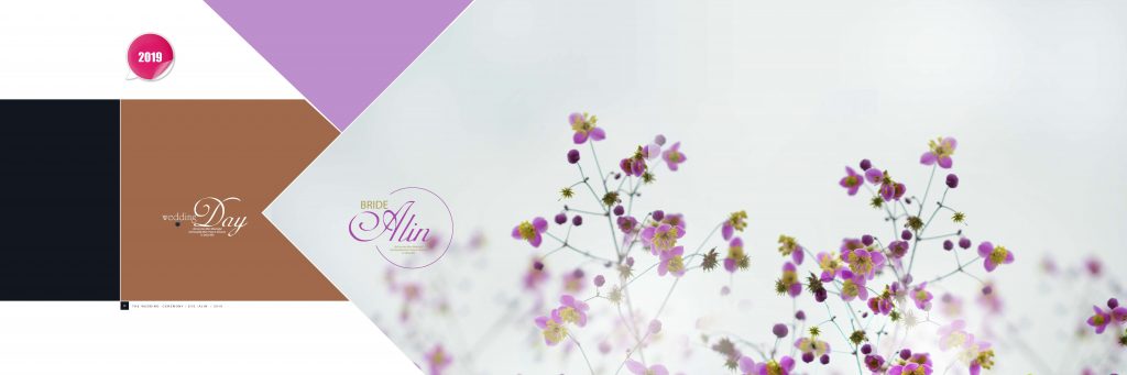Dmax Vol-14&ndash;INDIAN WEDDING ALBUM PSD TEMPLATE