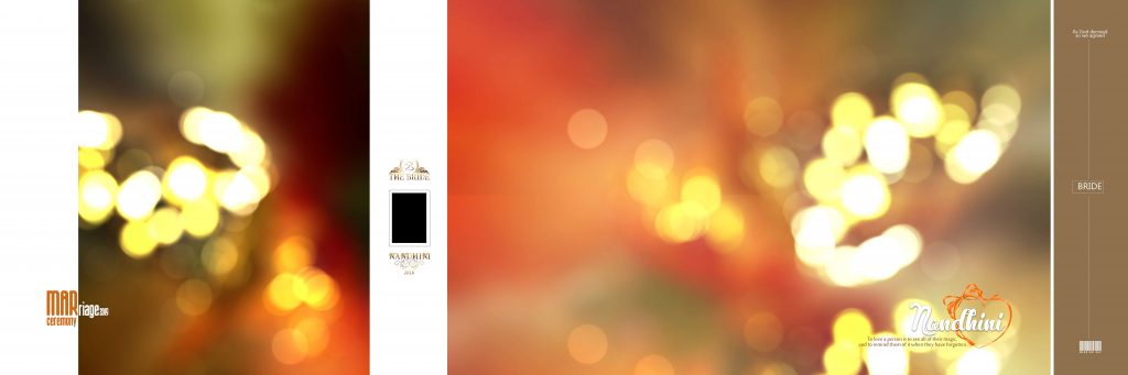 Dmax Vol-14&ndash;INDIAN WEDDING ALBUM PSD TEMPLATE