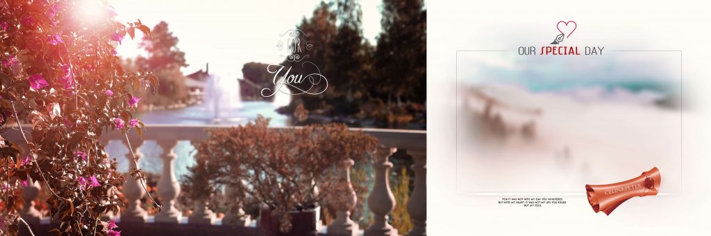 Dmax Vol-14&ndash;INDIAN WEDDING ALBUM PSD TEMPLATE