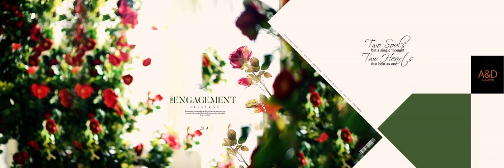 Dmax Vol-14&ndash;INDIAN WEDDING ALBUM PSD TEMPLATE