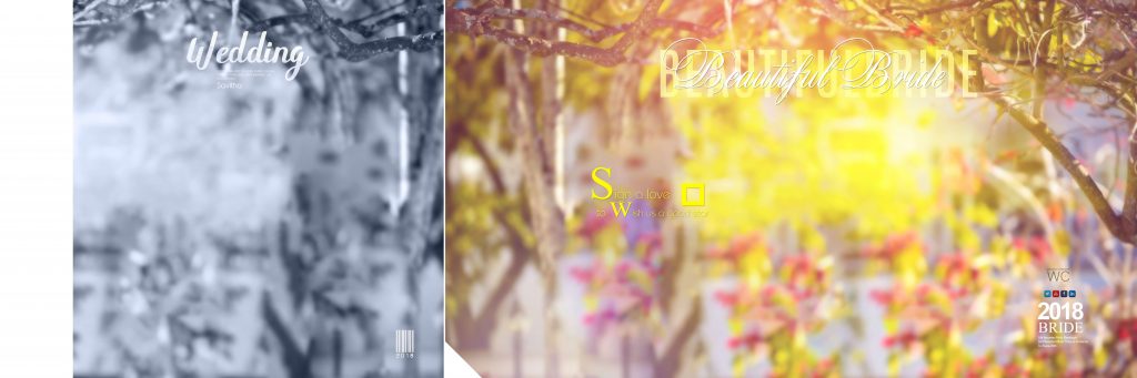 Dmax Vol-14&ndash;INDIAN WEDDING ALBUM PSD TEMPLATE