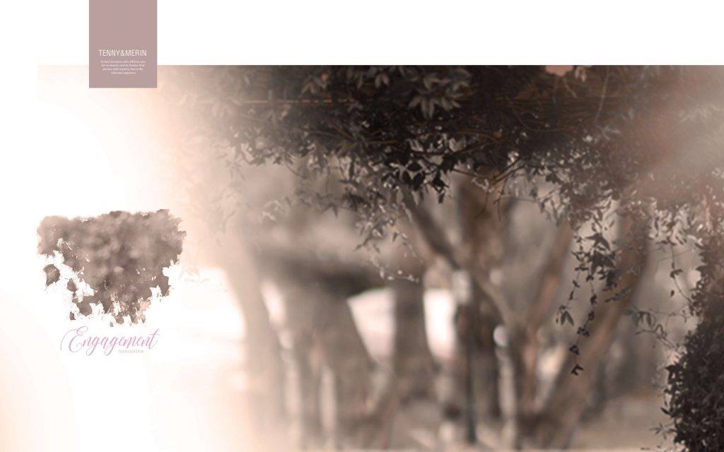 Dmax Vol-44&ndash;INDIAN WEDDING ALBUM PSD TEMPLATE