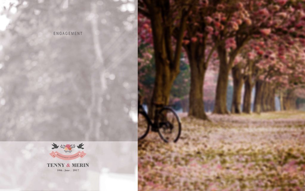 Dmax Vol-44&ndash;INDIAN WEDDING ALBUM PSD TEMPLATE