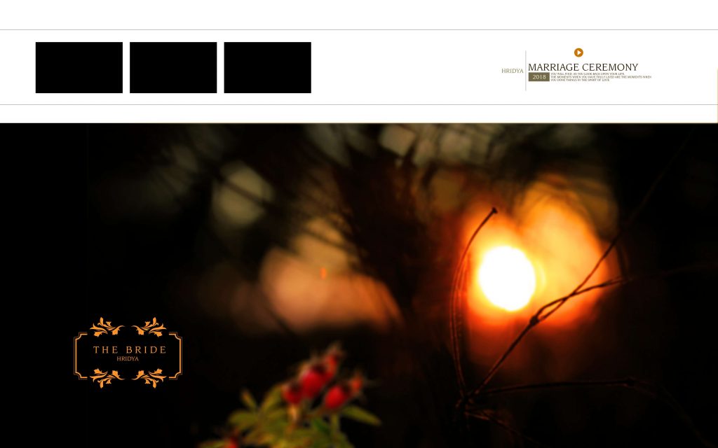 Dmax Vol-45&ndash;INDIAN WEDDING ALBUM PSD TEMPLATE