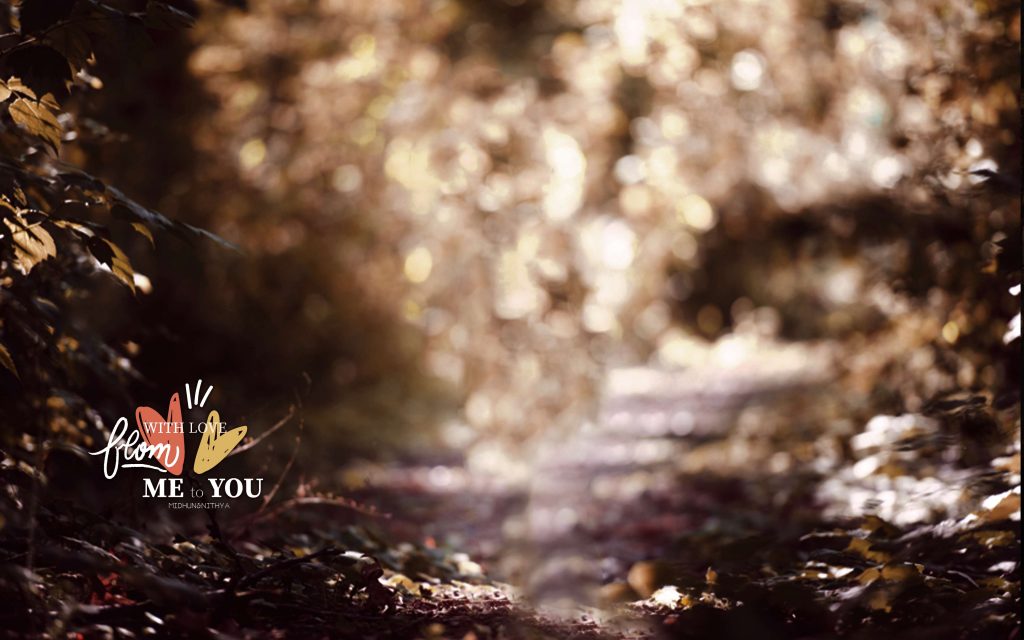Dmax Vol-45&ndash;INDIAN WEDDING ALBUM PSD TEMPLATE