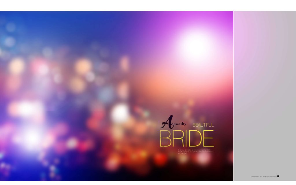 Dmax Vol-45&ndash;INDIAN WEDDING ALBUM PSD TEMPLATE