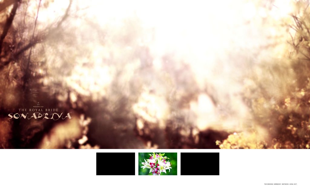 Dmax Vol-46&ndash;INDIAN WEDDING ALBUM PSD TEMPLATE