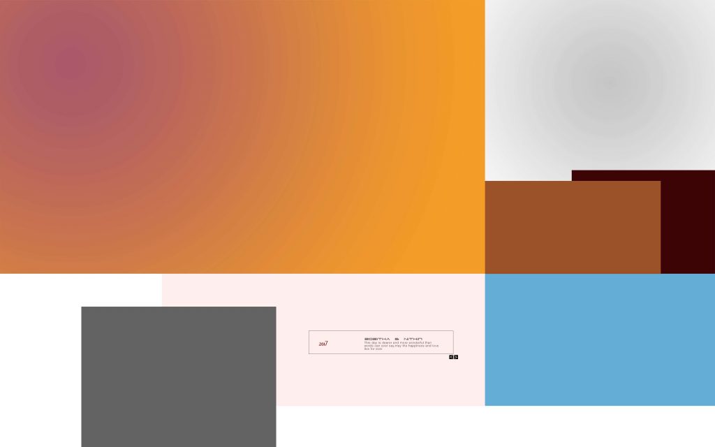 Dmax Vol-48&ndash;INDIAN WEDDING ALBUM PSD TEMPLATE