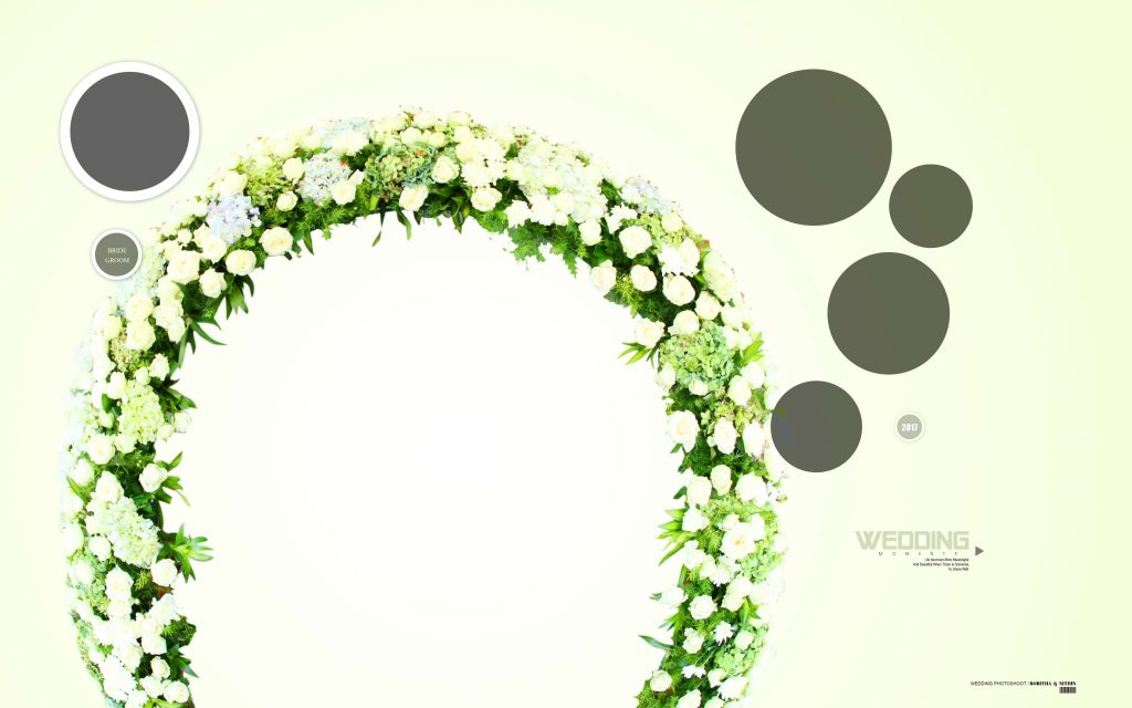 Dmax Vol-48&ndash;INDIAN WEDDING ALBUM PSD TEMPLATE