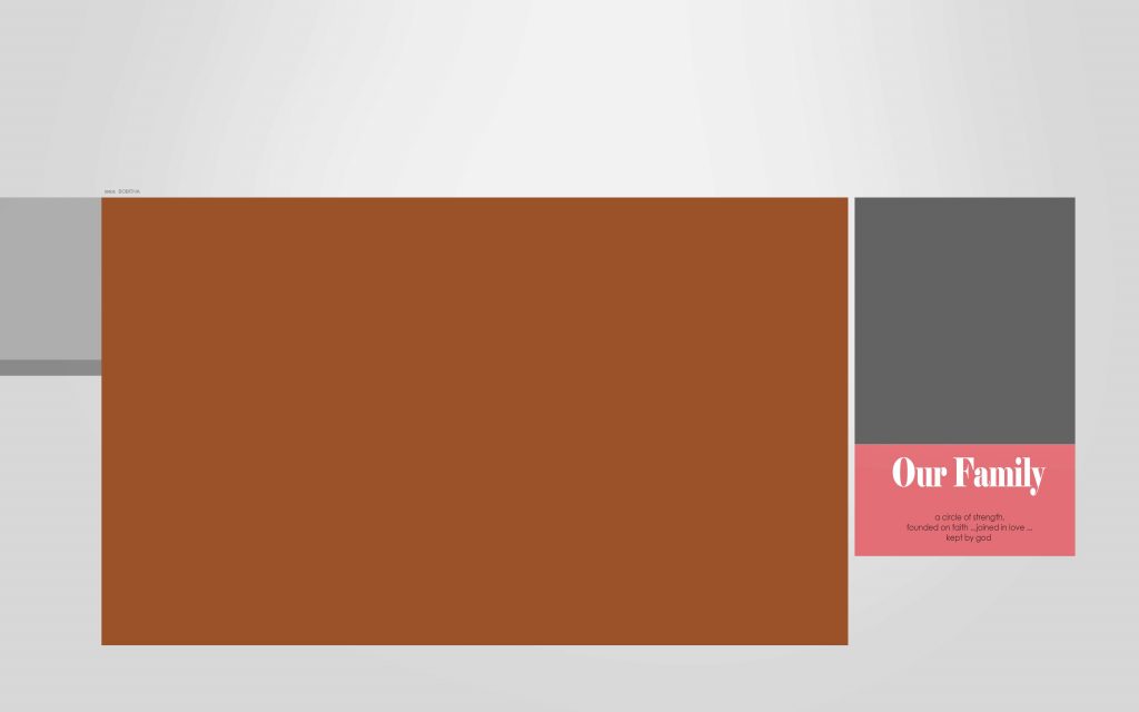 Dmax Vol-48&ndash;INDIAN WEDDING ALBUM PSD TEMPLATE