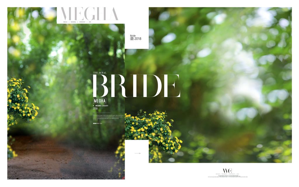 Dmax Vol-49&ndash;INDIAN WEDDING ALBUM PSD TEMPLATE