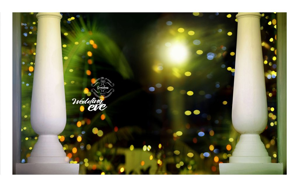 Dmax Vol-49&ndash;INDIAN WEDDING ALBUM PSD TEMPLATE