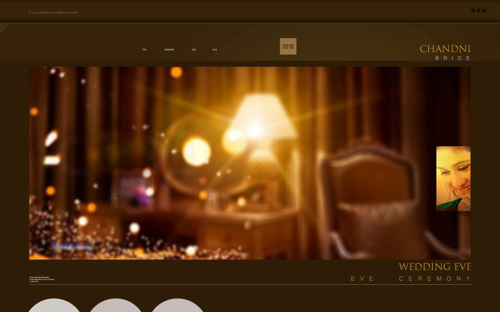 Dmax Vol-49&ndash;INDIAN WEDDING ALBUM PSD TEMPLATE