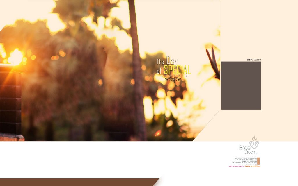 Dmax Vol-49&ndash;INDIAN WEDDING ALBUM PSD TEMPLATE