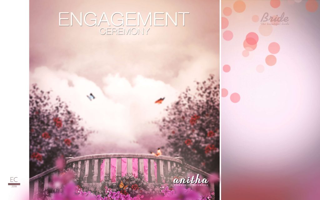 Dmax Vol-49&ndash;INDIAN WEDDING ALBUM PSD TEMPLATE
