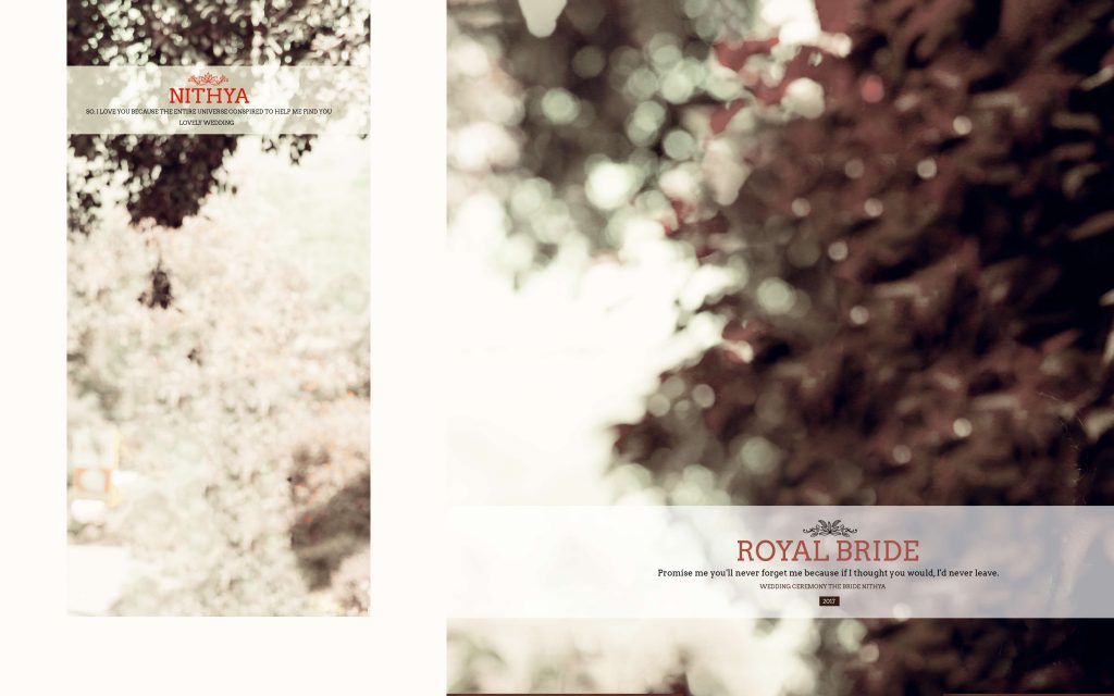 Dmax Vol-49&ndash;INDIAN WEDDING ALBUM PSD TEMPLATE