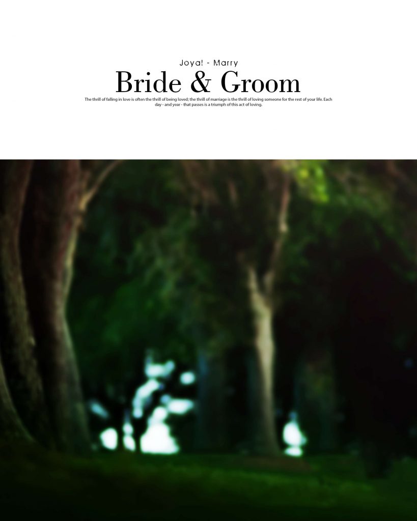 Dmax Vol-21&ndash;INDIAN WEDDING ALBUM PSD TEMPLATE